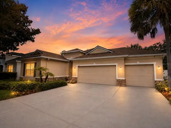 11238 Wembley Landing Drive, LITHIA, FL 33547