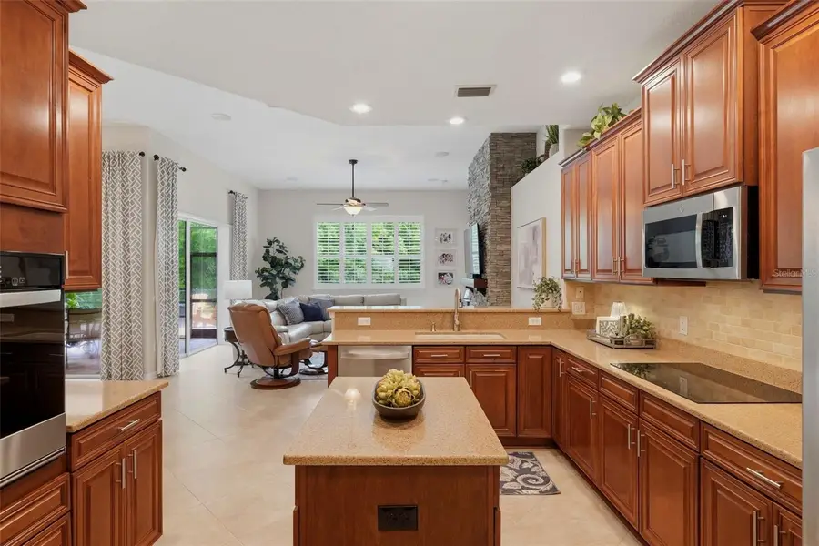 14828 Man O War Drive, Odessa, FL 33556 - #3