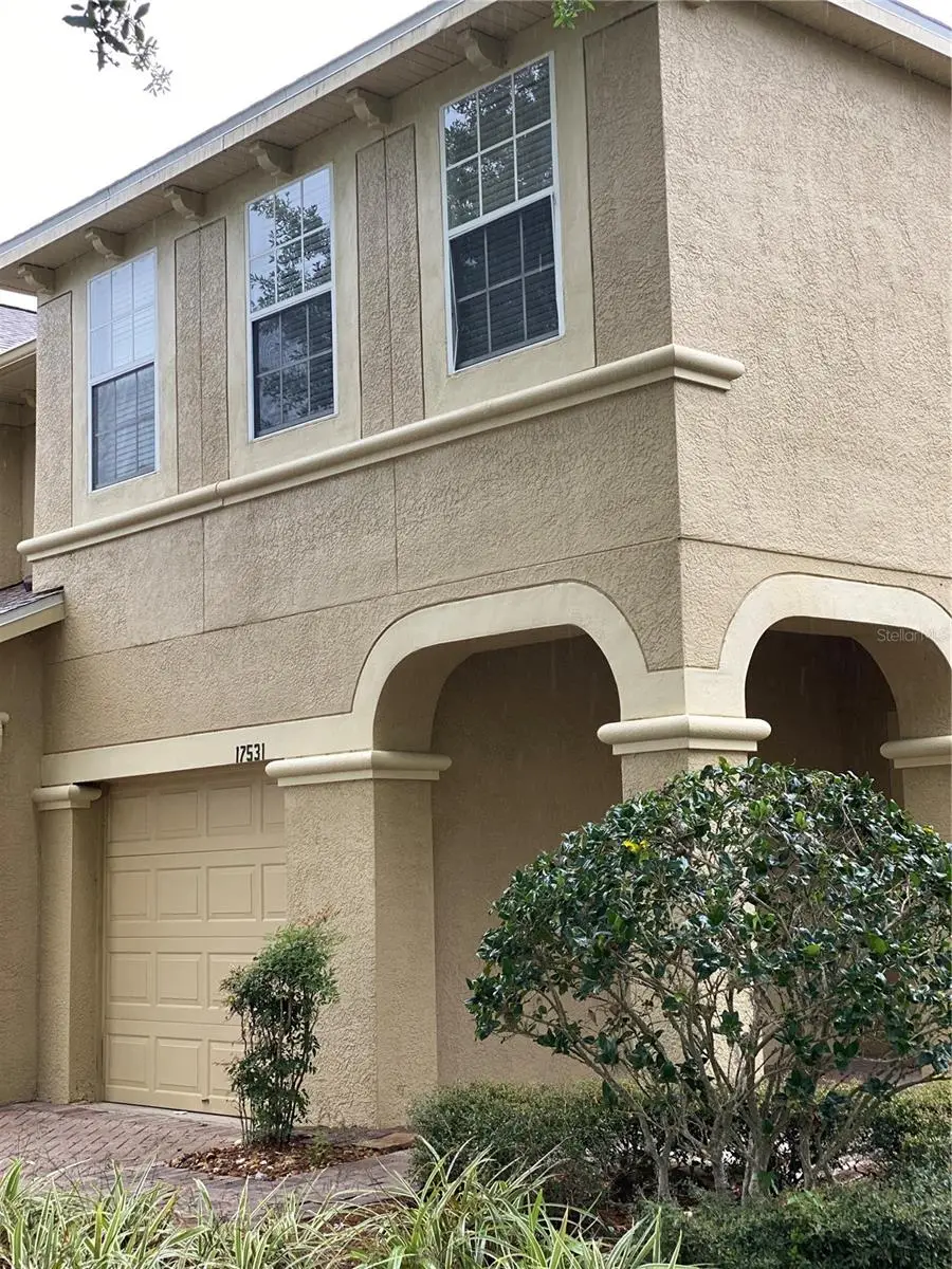 17531 Hugh Lane, Land O Lakes, FL 34638 - #2