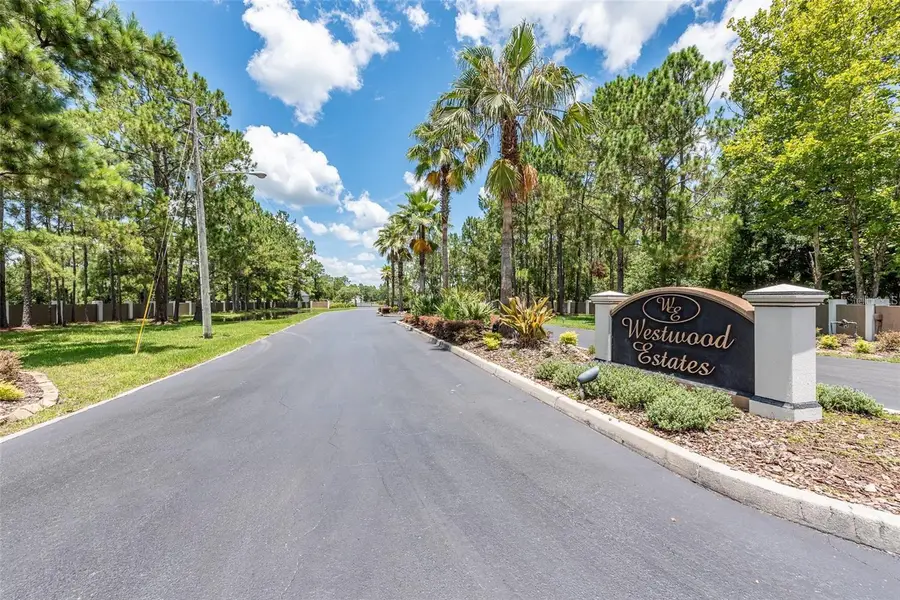 8616 Spring Forest Lane, Wesley Chapel, FL 33544 - #2