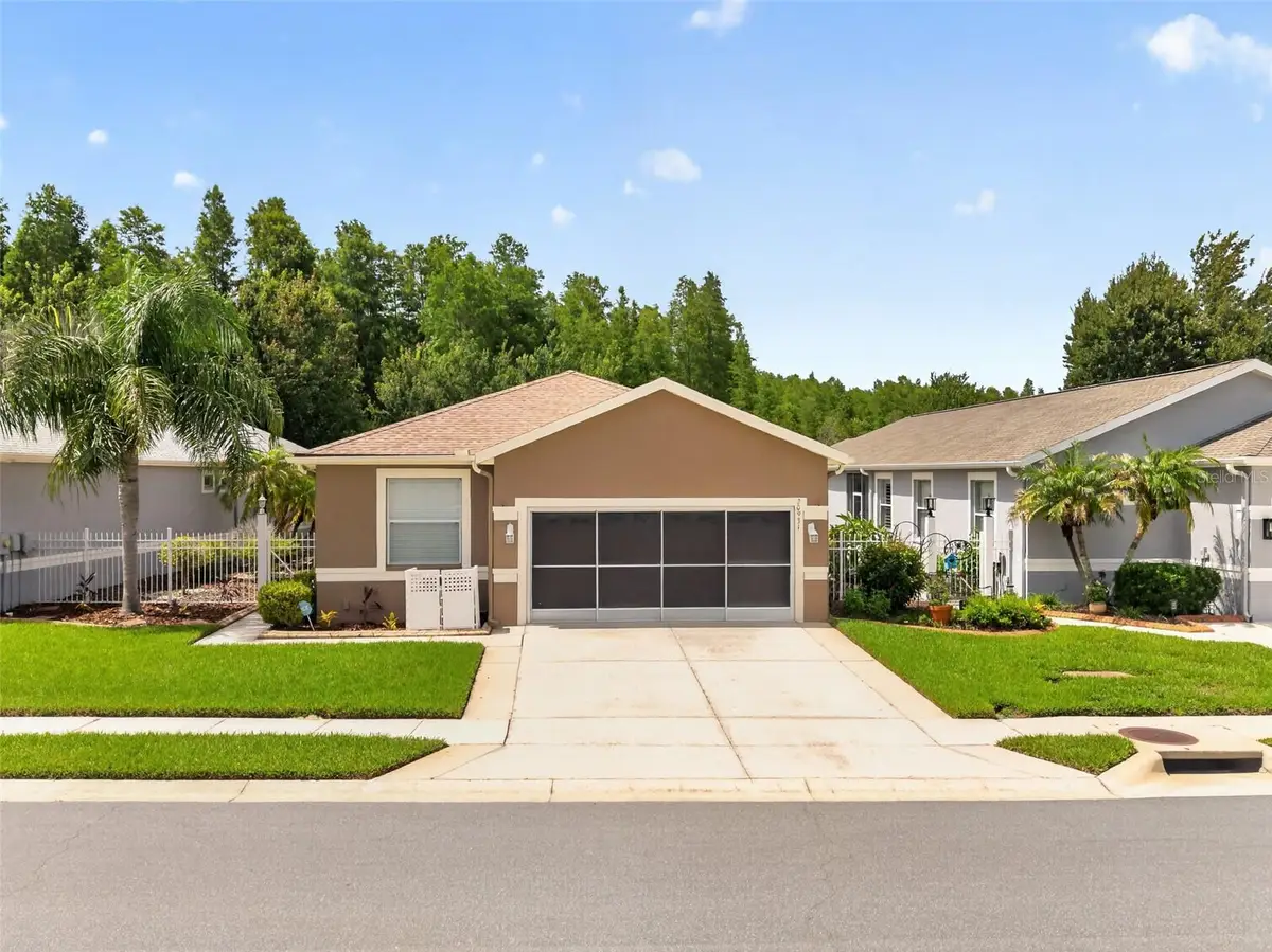 20931 Diamonte Drive, Land O Lakes, FL 34637 - #1
