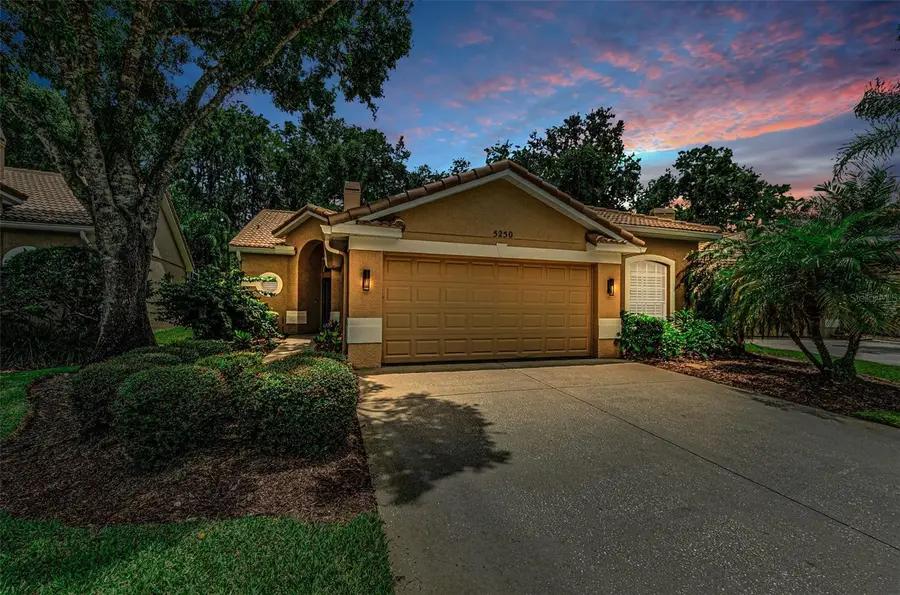 5250 Pinehurst Court, Oldsmar, FL 34677 - #3