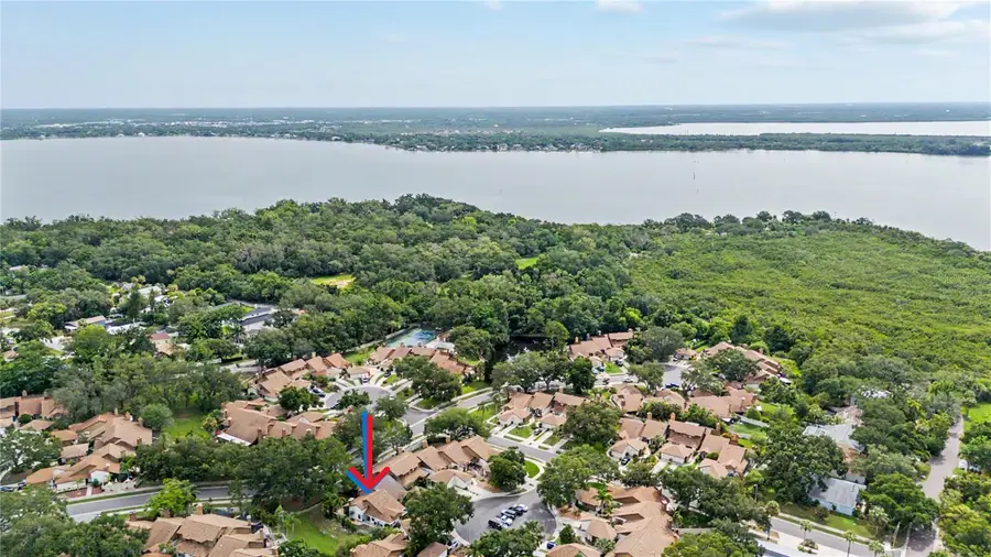 207 Lighthouse Court, Safety Harbor, FL 34695 - #2