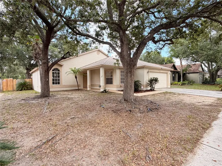 1025 Malletwood Drive, Brandon, FL 33510 - #3