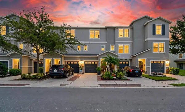4755 Tuscan Loon Drive, TAMPA, FL 33619