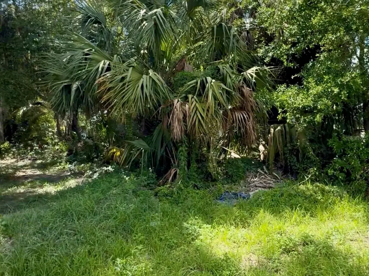 S Franklin Street, Plant City, FL 33563 - #1