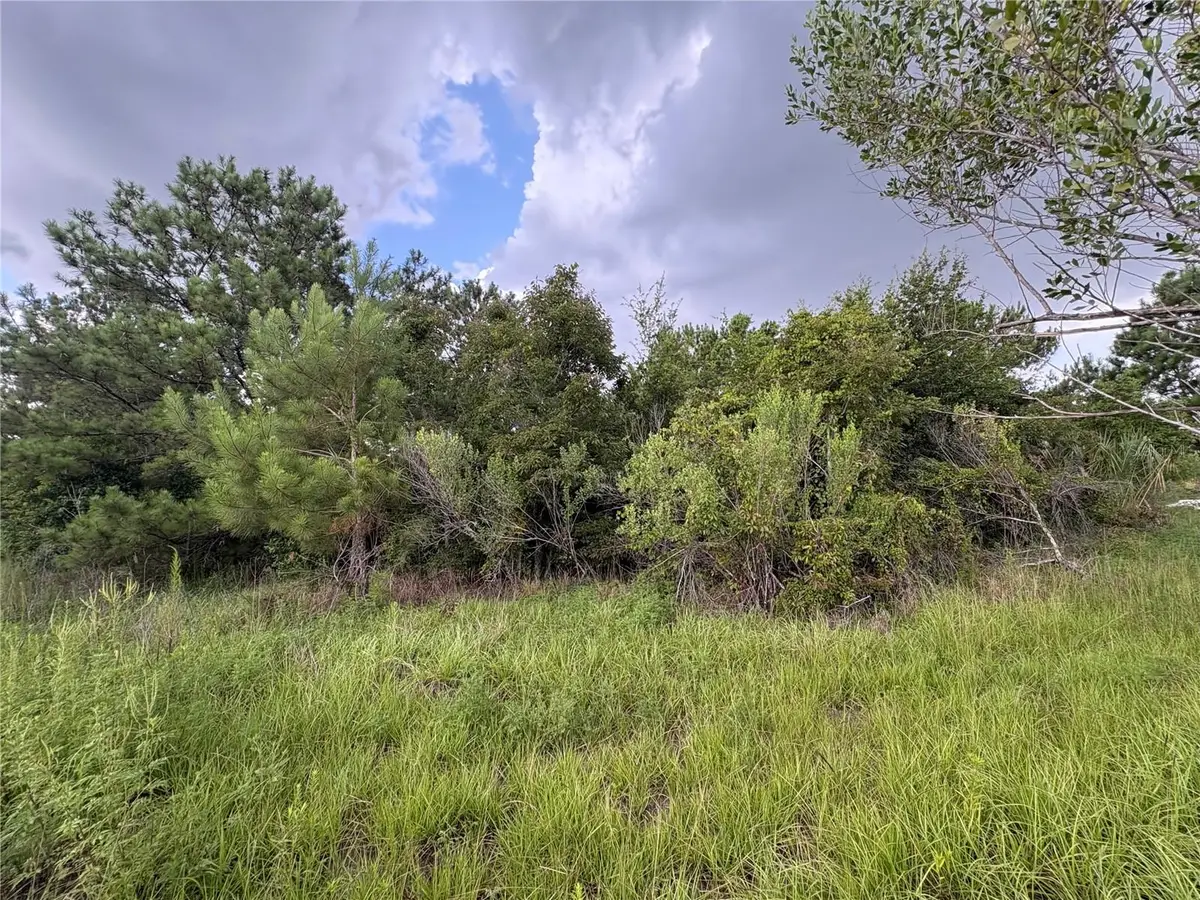 Evening Star #00, Brooksville, FL 34604 - #1
