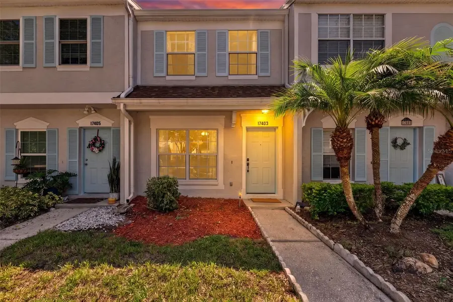 17403 Flatwoods Key Drive, Tampa, FL 33647 - #2