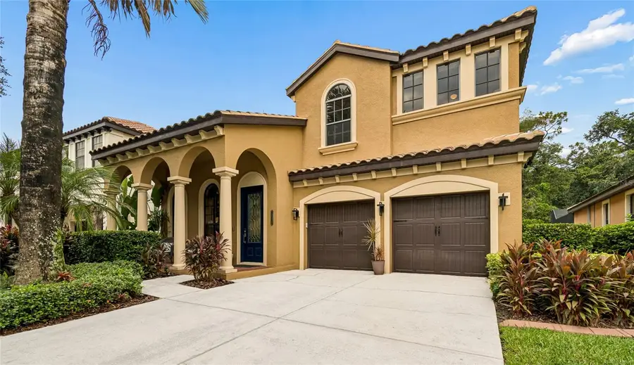 20338 Chestnut Grove Drive, Tampa, FL 33647 - #3