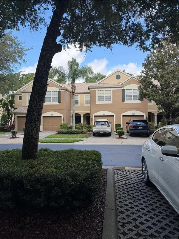 8428 Sandy Beach Street, TAMPA, FL 33634