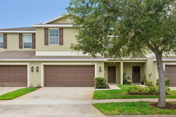 20220 Pond Apple Lane, TAMPA, FL 33647