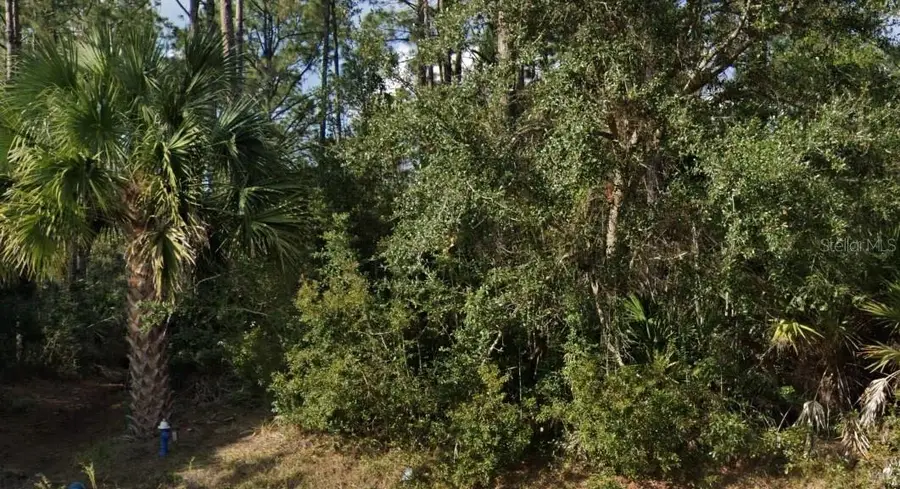 16 Sleeping Beauty Place, Palm Coast, FL 32164 - #3
