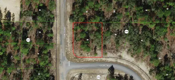 3299 W Higgins Place, CITRUS SPRINGS, FL 34433