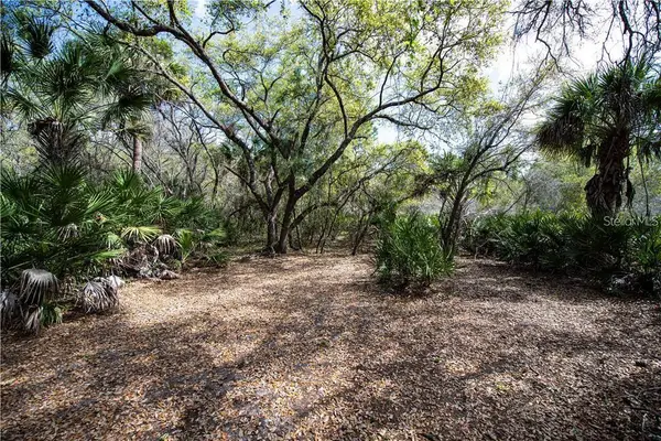 392 Manly Street, PORT CHARLOTTE, FL 33953