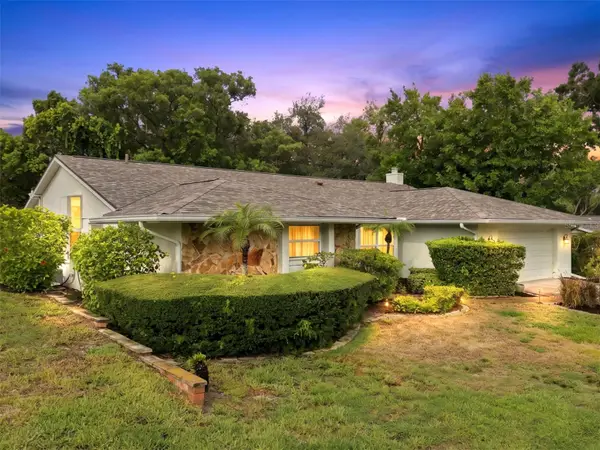 1071 Persimmon Drive, PALM HARBOR, FL 34683