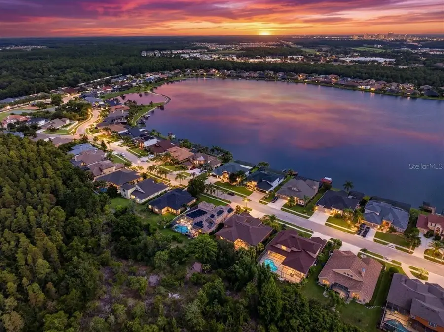 16410 Ivy Lake Drive, Odessa, FL 33556 - #2