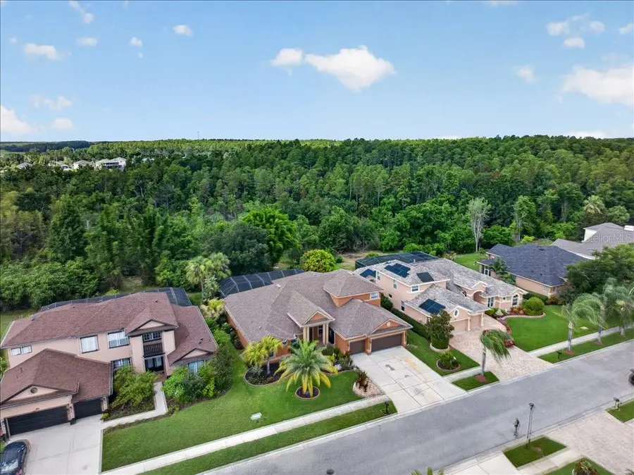 16410 Ivy Lake Drive, Odessa, FL 33556 - #3