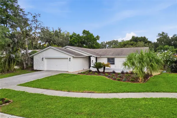 724 Isleton Drive, BRANDON, FL 33511