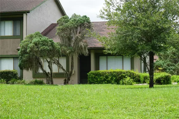 7807 Amberlea Court #7807, TAMPA, FL 33637