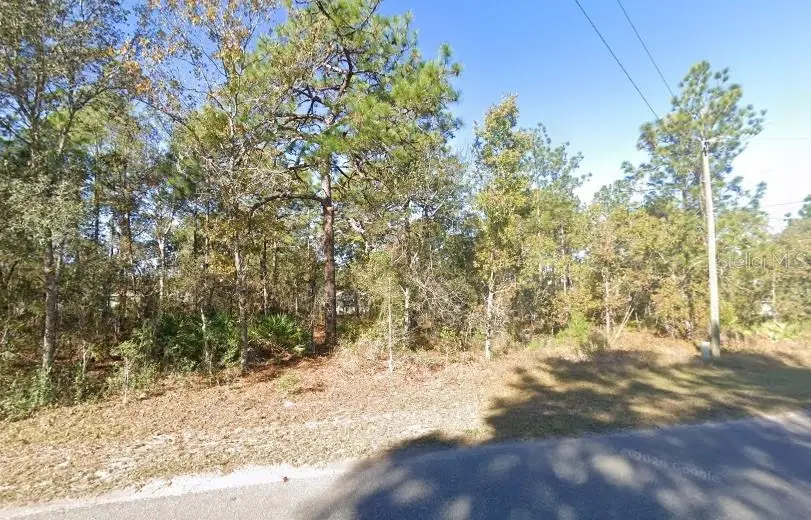 9037-1222-05, Ocklawaha, FL 32179 - #2