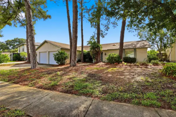 6811 Twelve Oaks Boulevard, TAMPA, FL 33624