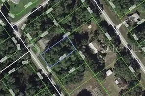 445 Pershing Avenue, Lake Placid, FL 33852 - #1