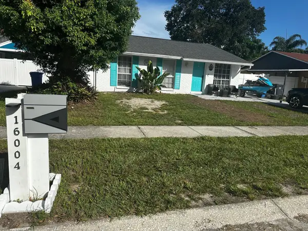 16004 Saddle Creek Drive, TAMPA, FL 33618