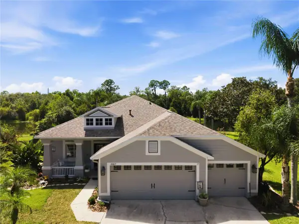 16817 Harrierridge Place, LITHIA, FL 33547