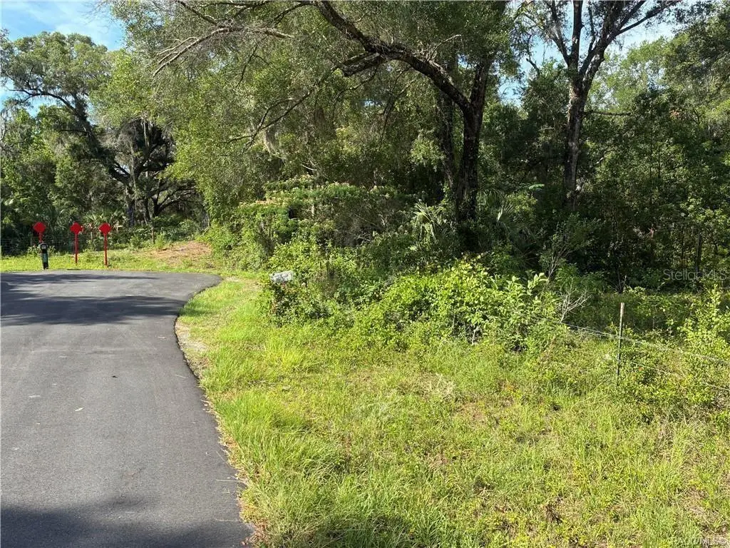 5236 N Oldwood Point, Hernando, FL 34442 - #1