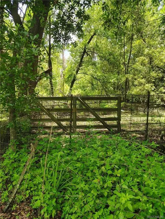 5236 N Oldwood Point, Hernando, FL 34442 - #3