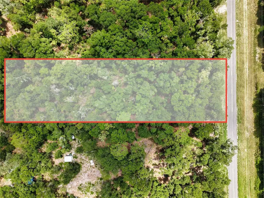 000 NE 410th Avenue, Old Town, FL 32680 - #2