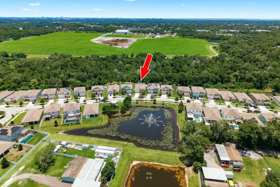 8216 Praise Drive, Tampa, FL 33625 - #2