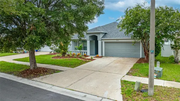 8105 Water Tower Drive, TAMPA, FL 33619