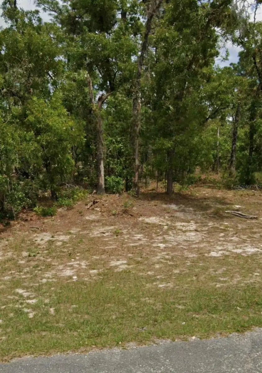 5689 N Summerfield Point, Dunnellon, FL 34434 - #1