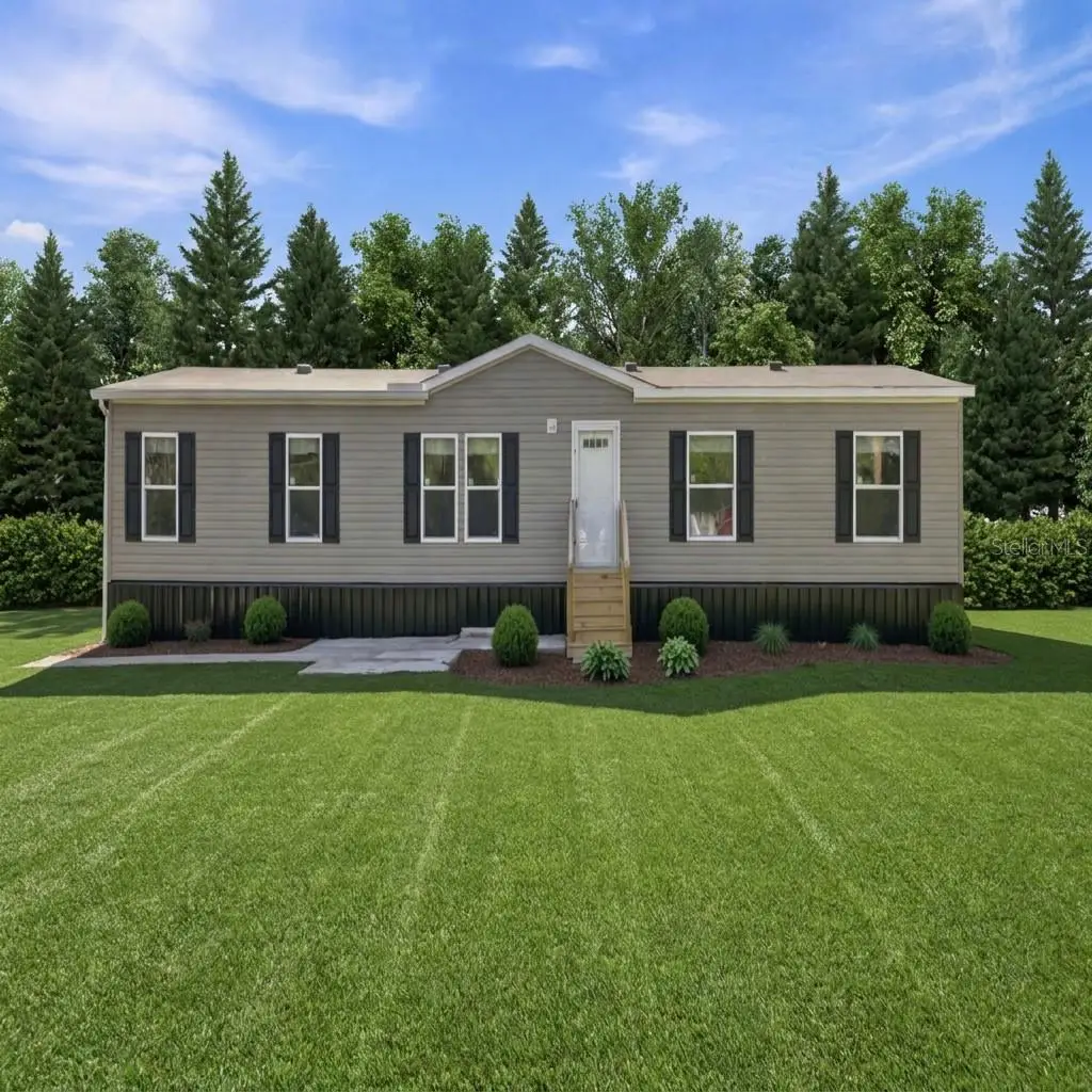 30546 Eastport Drive, Wesley Chapel, FL 33545 - #1