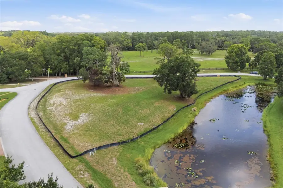 520 Austin Drive, Tarpon Springs, FL 34688 - #3