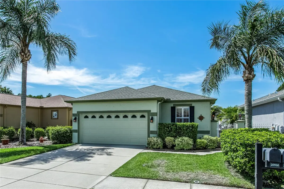 20930 Tangor Road, Land O Lakes, FL 34637 - #1