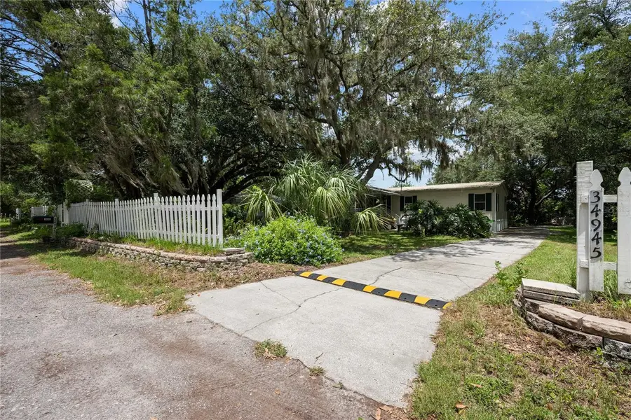 34945 Buck Road, Zephyrhills, FL 33541 - #3