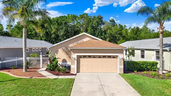 21054 Diamonte Dr, LAND O LAKES, FL 34637
