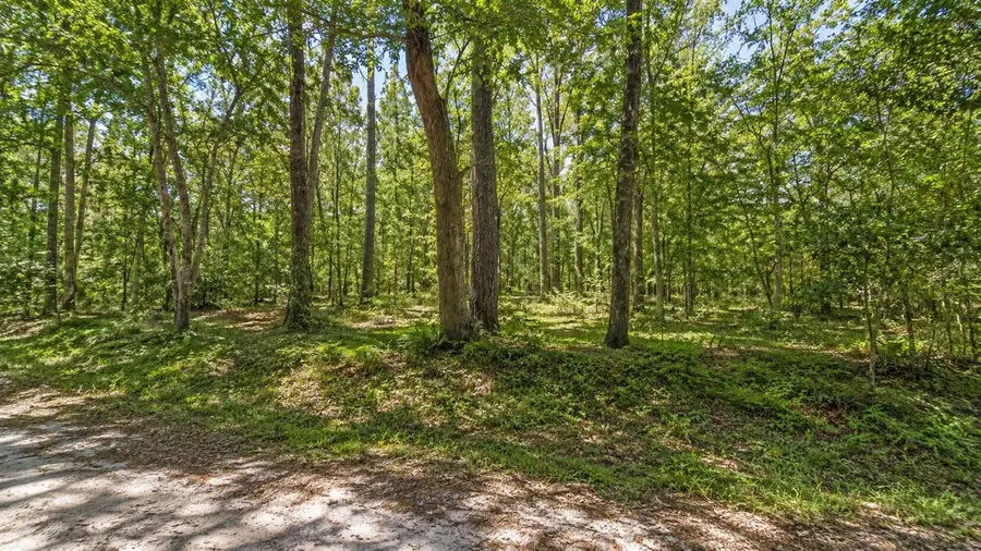 1401 SE 41st Avenue, Gainesville, FL 32641 - #2