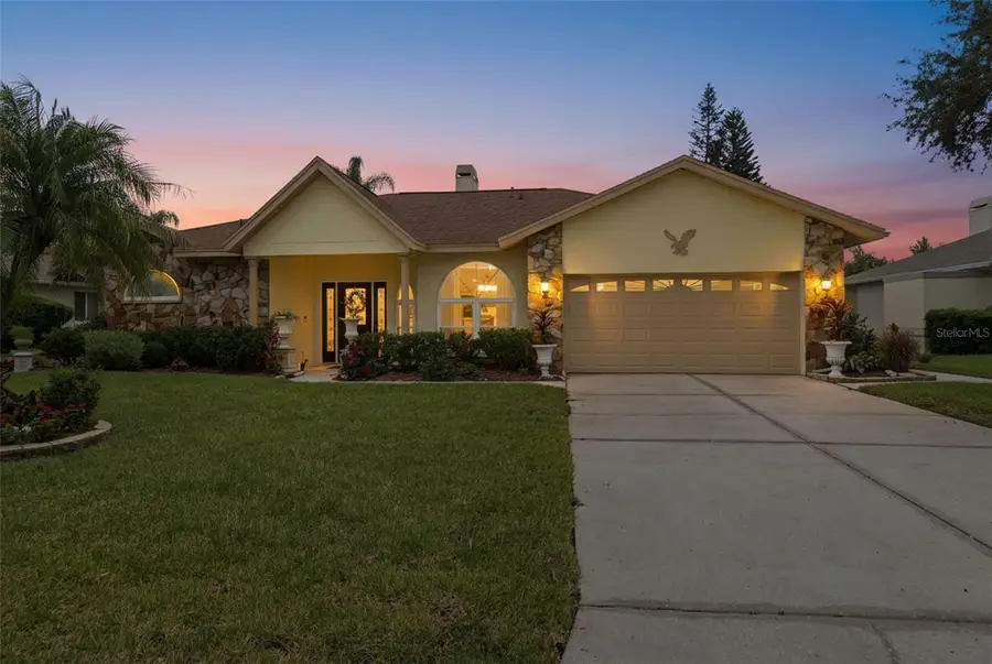 23427 Pine Lake Street, Land O Lakes, FL 34639 - #2