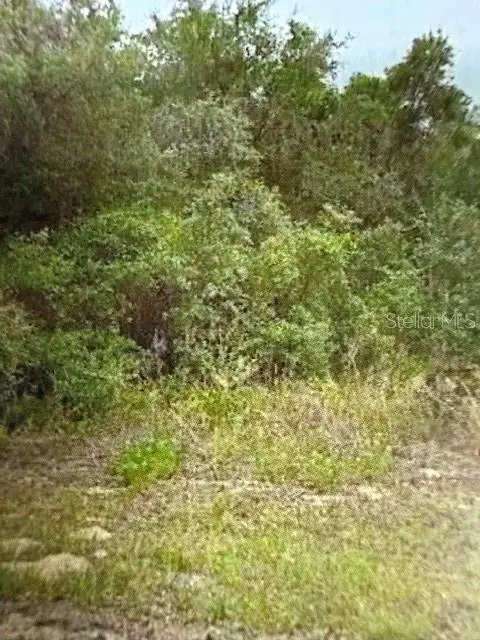 Walton, Dunnellon, FL 34434 - #1