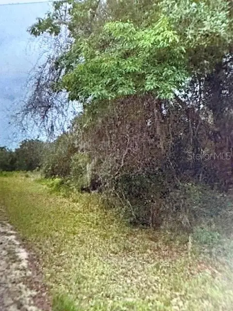 Walton, Dunnellon, FL 34434 - #2