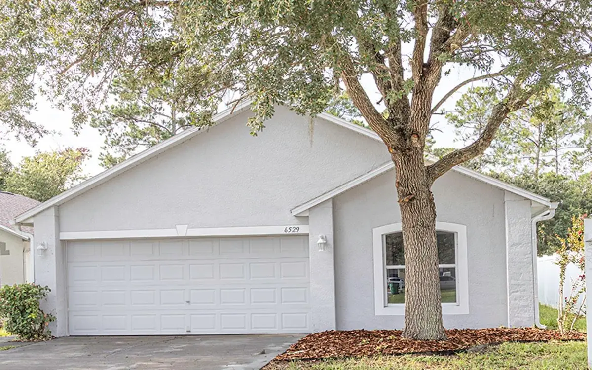 6529 Tabogi Trail, Wesley Chapel, FL 33545 - #1