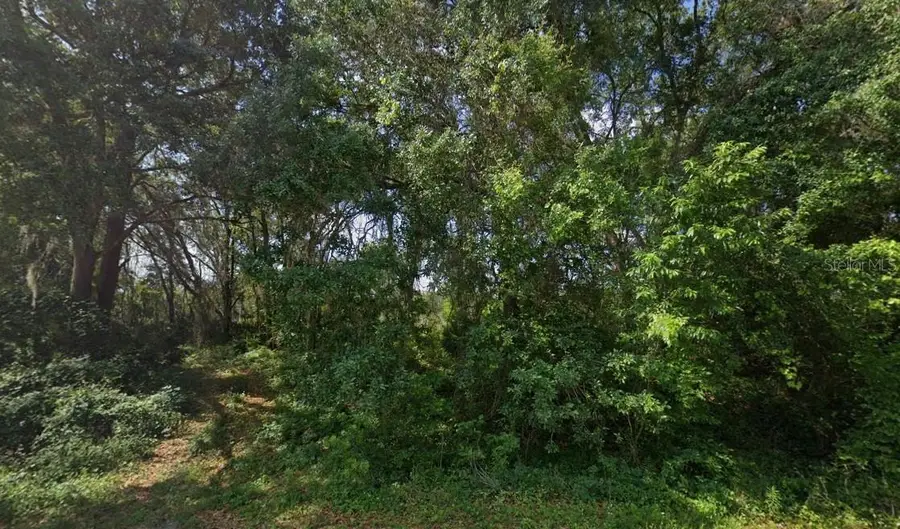 0 SW 79th Terrace Road, Ocala, FL 34473 - #2