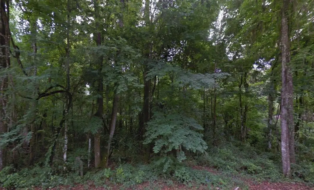 SE 42nd Court, Belleview, FL 34420 - #1