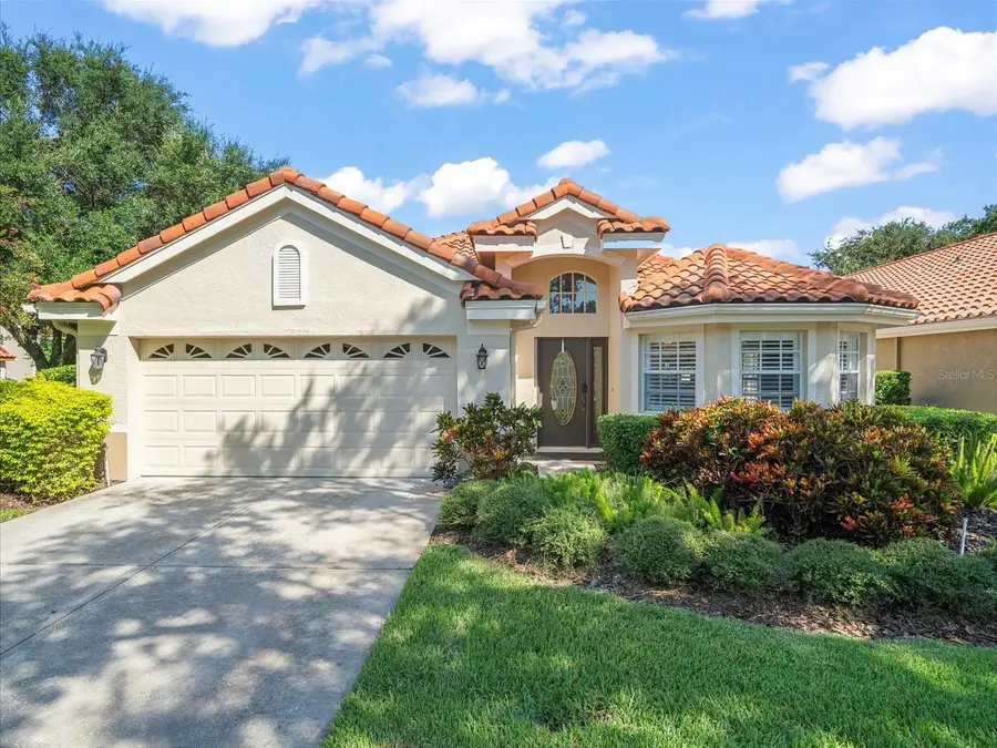 18921 Place Marquette, Lutz, FL 33558 - #2