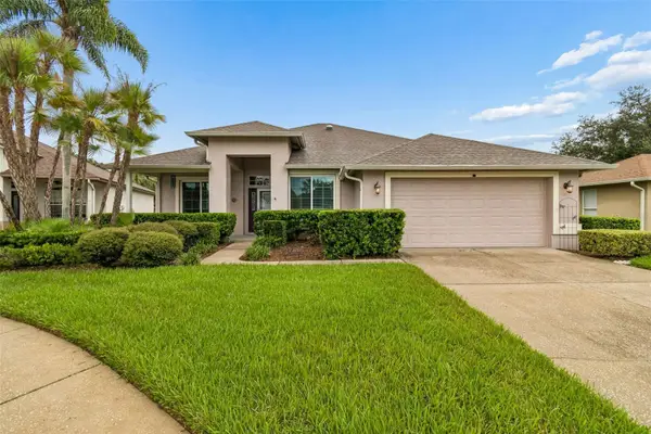 5306 Waterleaf Court, VALRICO, FL 33596