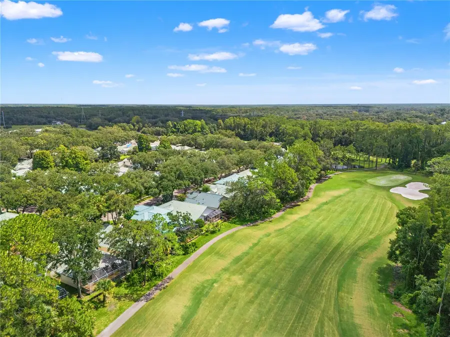 6005 Fairway Palms Court, Tampa, FL 33647 - #2
