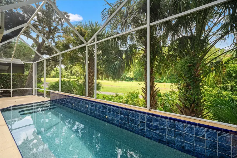 6005 Fairway Palms Court, Tampa, FL 33647 - #3
